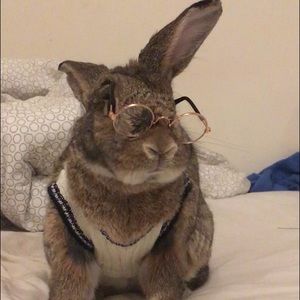 Meet your Posher, Jill